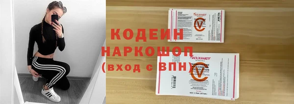 СК Тында