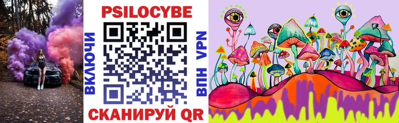 Псилоцибиновые грибы Psilocybine cubensis  продажа наркотиков  Щигры 